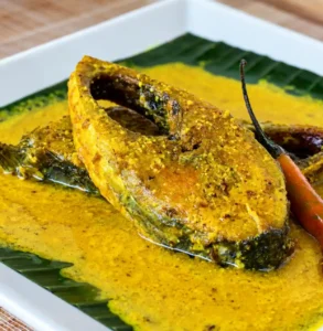 Sundarban Hilsa Fish