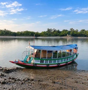 Sundarban Tourist Boat